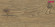 HARO Podłoga laminowana TRITTY 100 Dąb Portland naturalny authentic 1-lamelowa deska 4V Silent CT