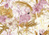 Skaben Fototapete Blumen Flamingo Orange / Rosa Raum1
