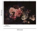 Skaben Fototapete Blumen Lilie Rosa / Schwarz Raum2